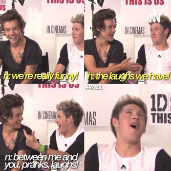 Funny One Direction Quotes! One Direction Wiki Fandom